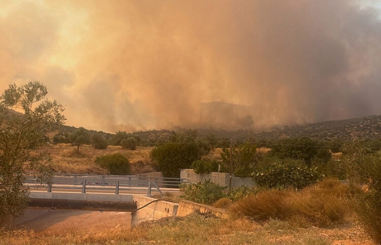 Πυκνός καπνός από τη φωτιά πάνω από τη Νέα Πέραμο, Δευτέρα 3 Αυγούστου 2026 (φωτ.: Facebook / Forecast Weather Greece)