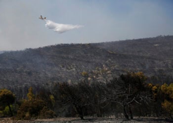 Πυροσβεστικό αεροσκάφος επιχειρεί σε φωτιά που καίει δασική έκταση στην Αγία Σκέπη, στην ευρύτερη περιοχή των Μεγάρων Δυτικής Αττικής.  Δευτέρα 3 Αυγούστου 2026 (φωτ.: ΑΠΕ-ΜΠΕ / Γιάννης Κολεσίδης)