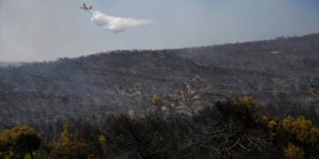 Πυροσβεστικό αεροσκάφος επιχειρεί σε φωτιά που καίει δασική έκταση στην Αγία Σκέπη, στην ευρύτερη περιοχή των Μεγάρων Δυτικής Αττικής. Δευτέρα 3 Αυγούστου 2026 (φωτ.: ΑΠΕ-ΜΠΕ / Γιάννης Κολεσίδης)