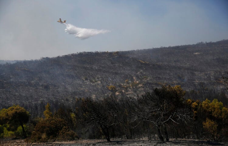 Πυροσβεστικό αεροσκάφος επιχειρεί σε φωτιά που καίει δασική έκταση στην Αγία Σκέπη, στην ευρύτερη περιοχή των Μεγάρων Δυτικής Αττικής. Δευτέρα 3 Αυγούστου 2026 (φωτ.: ΑΠΕ-ΜΠΕ / Γιάννης Κολεσίδης)