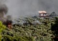 Συνεχίζεται για 2η ημέρα η μεγάλη πυρκαγιά στη Βοιωτία, στην ευρύτερη περιοχή του Κορινθιακού, από τη Δομβραίνα εως το Πόρτο Γερμενό, Σάββατο 1 Αυγούστου 2026  (φωτ.: EUROKINSSI / Δανάη Δαυλοπούλου)