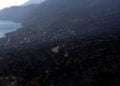 Καμένη δασική έκταση την επόμενη μέρα της πυρκαγιάς που έκαψε την παραθαλάσσια περιοχή του Πόρτο Γερμενό, περίπου 63 χιλιόμετρα δυτικά της Αθήνας. Δευτέρα 3 Αυγούστου 2026 (φωτ.: ΑΠΕ-ΜΠΕ / Γιάννης Κολεσίδης)