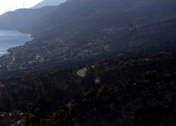 Καμένη δασική έκταση την επόμενη μέρα της πυρκαγιάς που έκαψε την παραθαλάσσια περιοχή του Πόρτο Γερμενό, περίπου 63 χιλιόμετρα δυτικά της Αθήνας. Δευτέρα 3 Αυγούστου 2026 (φωτ.: ΑΠΕ-ΜΠΕ / Γιάννης Κολεσίδης)