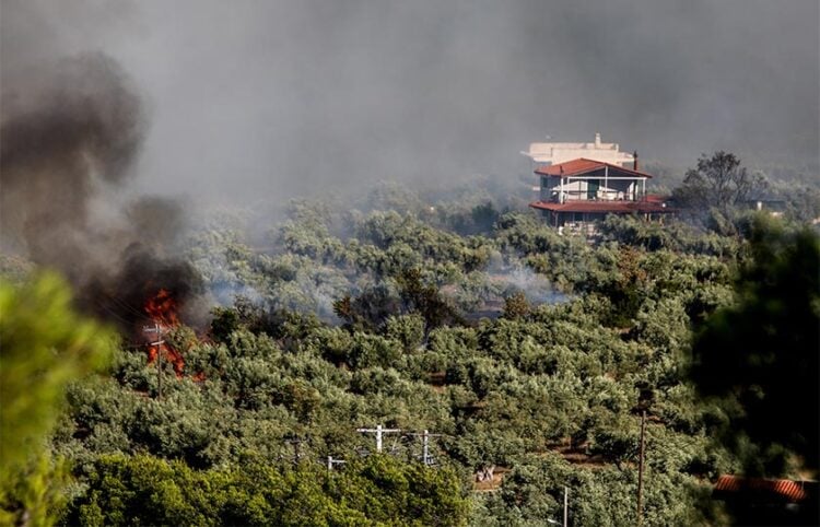 Συνεχίζεται για 2η ημέρα η μεγάλη πυρκαγιά στη Βοιωτία, στην ευρύτερη περιοχή του Κορινθιακού, από τη Δομβραίνα εως το Πόρτο Γερμενό, Σάββατο 1 Αυγούστου 2026 (φωτ.: EUROKINSSI / Δανάη Δαυλοπούλου)