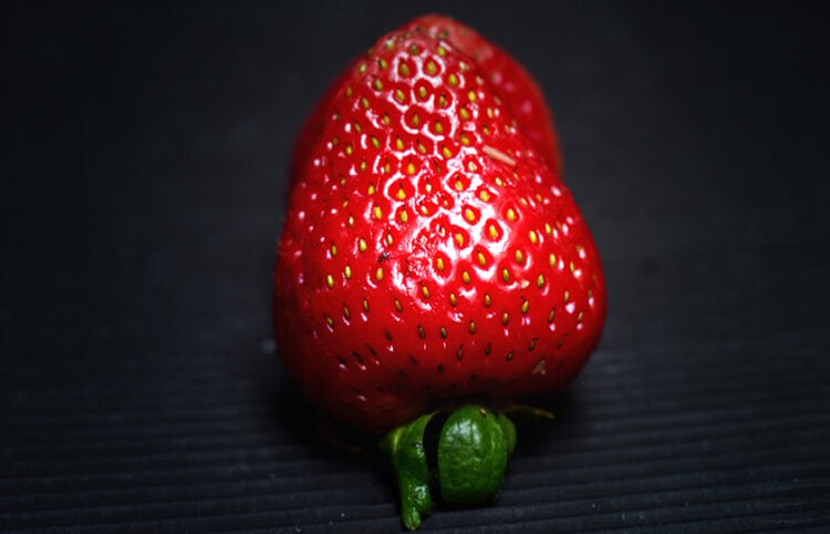 (Φωτ.: fernando zhiminaicela / Pixabay)