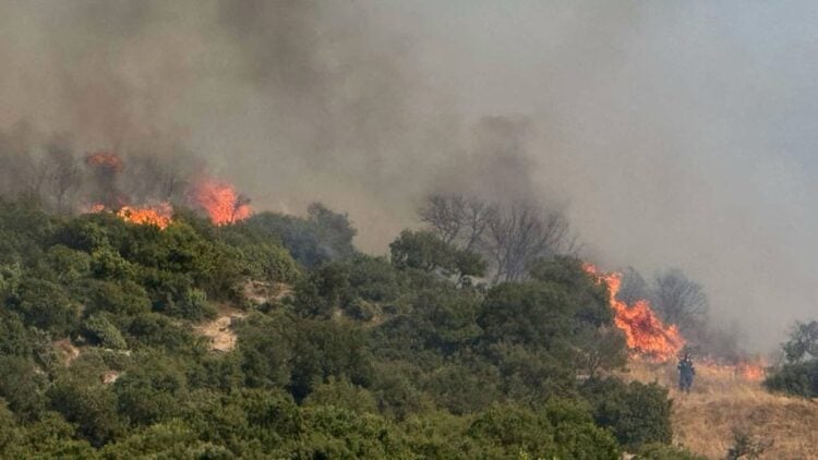 Εικόνα από το σημείο όπου έχει ξεσπάσει φωτιά στον δήμο Παγγαίου (φωτ.: ΑΠΕ-ΜΠΕ/Βασίλης Λωλίδης)