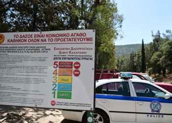 Στον Υμηττό (φωτ.: αρχείο EUROKINISSI / Τατιάνα Μπόλαρη)