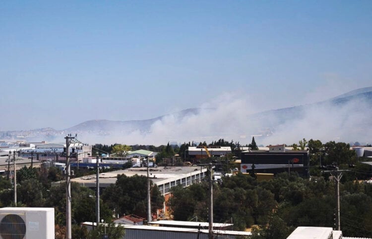 Καπνός από τη φωτιά στο Κορωπί, Τετάρτη 5 Αυγούστου 2026 (φωτ.: Facebook / Πυρκαγιά Ενημέρωση / Nou Vou)