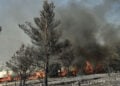 Πυρκαγιά στη περιοχή Κουβαρά Αττικής. Δευτέρα 10 Αυγούστου 2026 (φωτ.: EUROKINISSI / Μιχάλης Καραγιάννης)