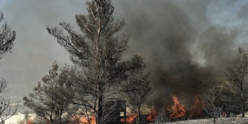 Πυρκαγιά στη περιοχή Κουβαρά Αττικής. Δευτέρα 10 Αυγούστου 2026 (φωτ.: EUROKINISSI / Μιχάλης Καραγιάννης)