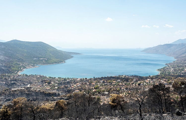 Το καταστροφικό πέρασμα της πυρκαγιάς από το Πόρτο Γερμενό (φωτ.: EUROKINISSI / Θεόδωρος Νικολάου)