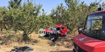 (Φωτ.: ertnews.gr / Βασίλης Αναστασιάδης)