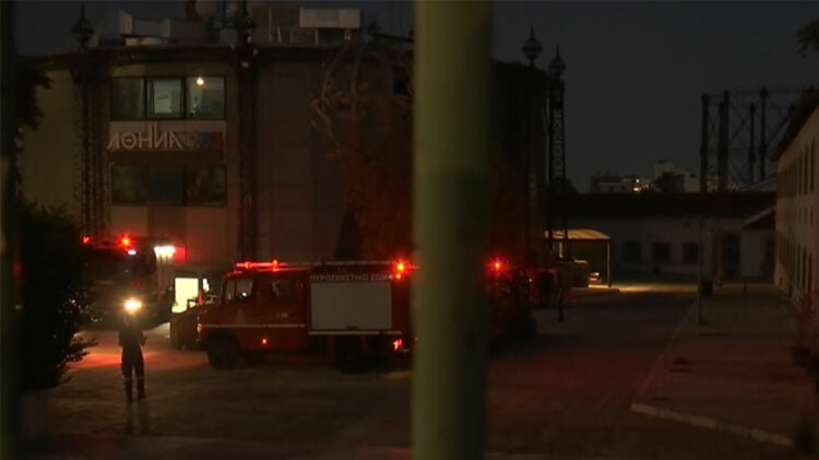 Στιγμιότυπο από βίντεο (πηγή: ertnews.gr)