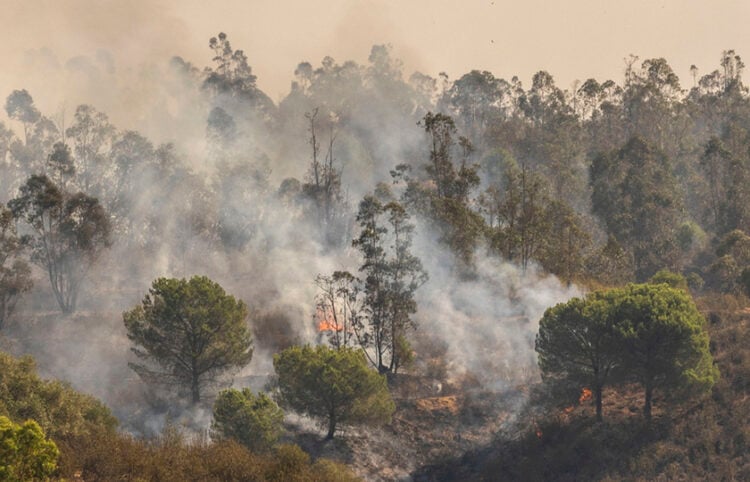 (Φωτ. αρχείου: EPA / Alberto Diaz)