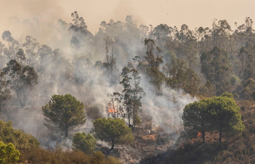 (Φωτ. αρχείου: EPA / Alberto Diaz)