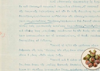 (Πηγή τεκμηρίου: Πολιτικό Αρχείο του Πόντου / Εύξεινος Λέσχη Θεσσαλονίκης / ΑΠΘ· εικαστική σύνθεση: ΓΒ)