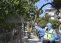 (Φωτ.: ΜΙΧΑΛΗΣ ΠΑΠΑΝΙΚΟΛΑΟΥ / EUROKINISSI)