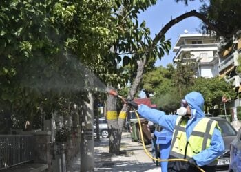 (Φωτ.: ΜΙΧΑΛΗΣ ΠΑΠΑΝΙΚΟΛΑΟΥ / EUROKINISSI)