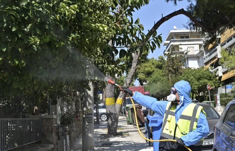 (Φωτ.: ΜΙΧΑΛΗΣ ΠΑΠΑΝΙΚΟΛΑΟΥ / EUROKINISSI)