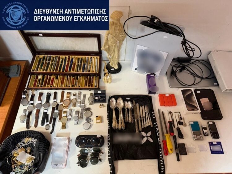 (Φωτ.: astynomia.gr)