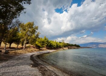 (Φωτ.: EUROKINISSI / Γιάννης Παναγόπουλος)