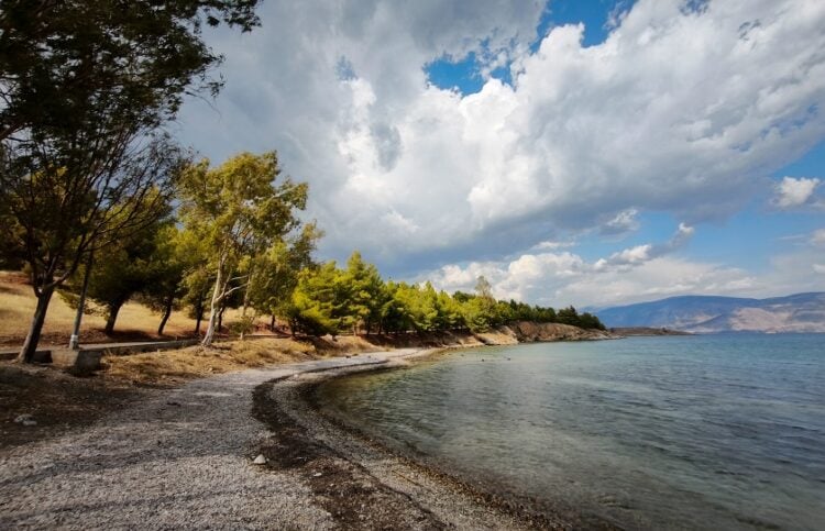 (Φωτ.: EUROKINISSI / Γιάννης Παναγόπουλος)