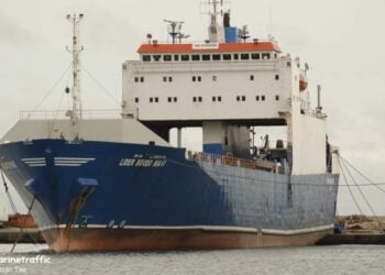 Το πλοίο Lider Bordo Mavi στο λιμάνι της Σαμψούντας (φωτ.: marinetraffic.com/en/photos/of/ships)