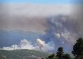 Πυκνός καπνός από τη φωτιά στη Μακρυκάπα Ευβοίας (φωτ.: Facebook / Πυρκαγιά Ενημέρωση / Peggy Dimopoulou)
