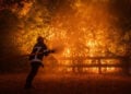 Από τις πρώτες μέρες της μεγάλης φωτιάς (φωτ.: EPA / Damien Rembert)