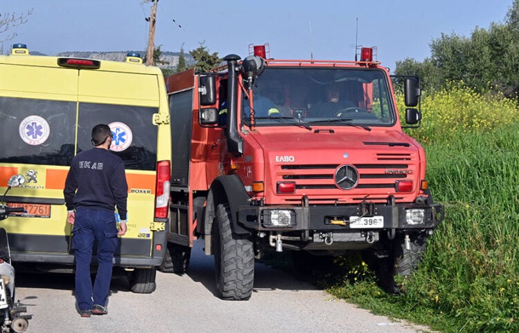 (Φωτ. αρχείου: EUROKINISSI / Βασίλης Παπαδόπουλος)