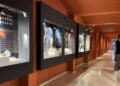 Άποψη της περιοδικής έκθεσης στο Αρχαιολογικό Μουσείο Σινώπης (φωτ.: Anadolu Ajansı)
