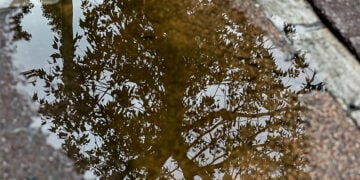 Μετά τη βροχή (φωτ.: EUROKINISSI / Μιχάλης Παπανικολάου)