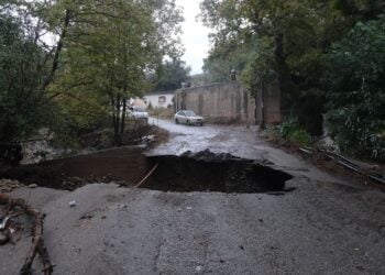 (Φωτ.: ΑΝΤΩΝΗΣ ΖΟΥΡΙΔΑΚΗΣ  / EUROKINISSI)