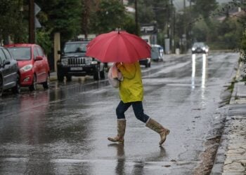 (Φωτ.: EUROKINISSI/ΜΙΧΑΛΗΣ ΚΑΡΑΓΙΑΝΝΗΣ)