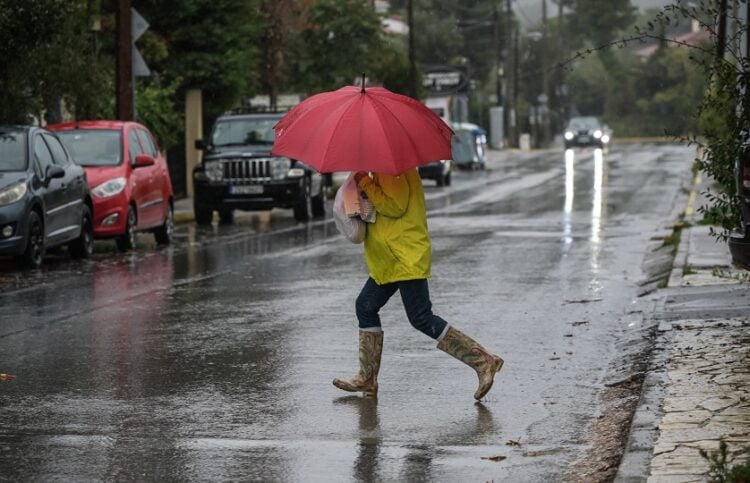 (Φωτ.: EUROKINISSI/ΜΙΧΑΛΗΣ ΚΑΡΑΓΙΑΝΝΗΣ)
