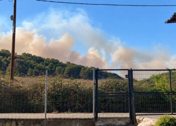 Καπνός από τη φωτιά που πέρασε από τη Βουλγαρία και καίει στο Σουφλί, Κυριακή 4 Οκτωβρίου 2026 (φωτ.: Facebook / Χριστίνα Αναστασοπούλου)