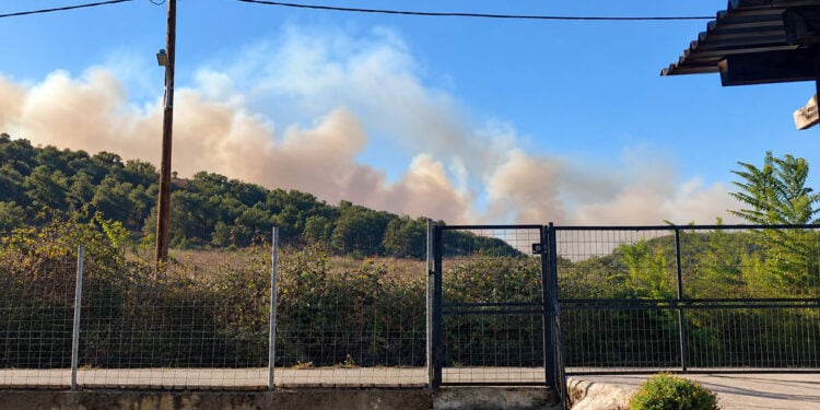 Καπνός από τη φωτιά που πέρασε από τη Βουλγαρία και καίει στο Σουφλί, Κυριακή 4 Οκτωβρίου 2026 (φωτ.: Facebook / Χριστίνα Αναστασοπούλου)