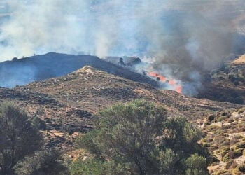 Το πύρινο μέτωπο στην Καρδάμαινα, Κυριακή 4 Οκτωβρίου 2026 (φωτ.: kostv.gr)