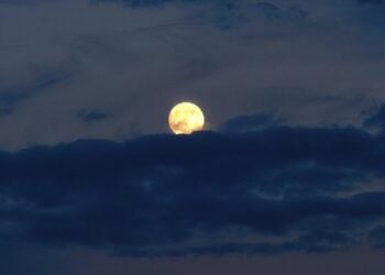 (Φωτ.: ΑΠΕ ΜΠΕ/Αρχείο/Ευάγγελος Μπουγιώτης)