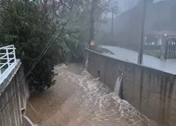 (Πηγή: skiathoslifegr)