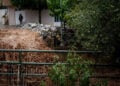 Συνεχίζεται για 3η ημέρα το ισχυρό κύμα κακοκαιρίας που πλήττει την Κρήτη. Εικόνα από τα Ζωνιανά του Δήμου Μυλοποτάμου στο Ρέθυμνο. Σάββατο 3 Οκτωβρίου 2026 (φωτ.: EUROKINISSI / Αντώνης Ζουριδάκης)